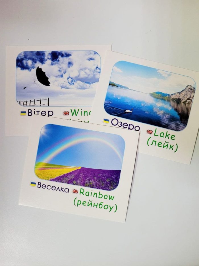 Природа/Nature. Навчальні картки - Зображення 2