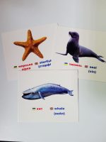 Мешканці морів/Inhabitants of the seas and oceans. Навчальні картки - Зображення 2