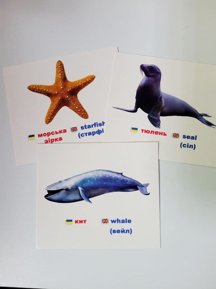 Мешканці морів/Inhabitants of the seas and oceans. Навчальні картки - Зображення 2