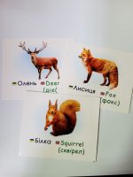 Фауна України/ Fauna of Ukraine. Навчальні картки - Зображення 2