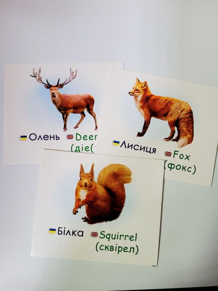 Фауна України/ Fauna of Ukraine. Навчальні картки - Зображення 2