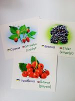 Ягоди/Berries. Навчальні картки - Зображення 3
