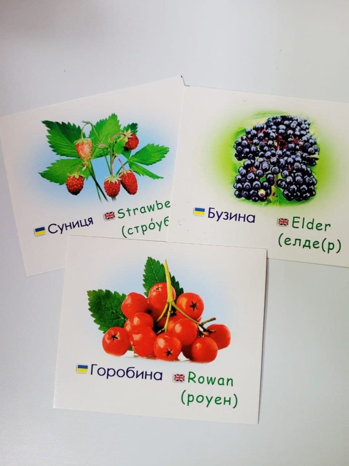 Ягоди/Berries. Навчальні картки - Зображення 3