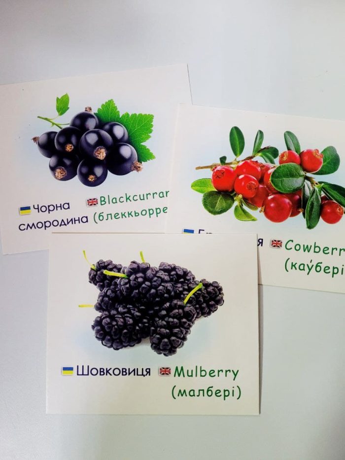 Ягоди/Berries. Навчальні картки - Зображення 2