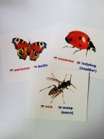 Комахи та рептилії/insects and reptiles. Навчальні картки - Зображення 3
