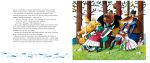 Фарбований Лис - Зображення 3
