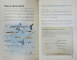 Морські тварини світу - Зображення 4