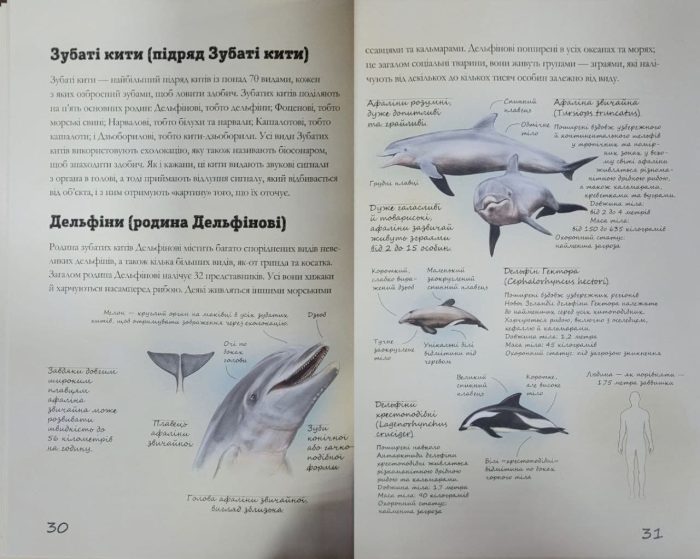 Морські тварини світу - Зображення 5