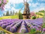 Лавандове поле 21*25 см. Набір для творчості зі стразами на картоні 5D