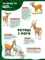 Велика книга про тварин - Зображення 6