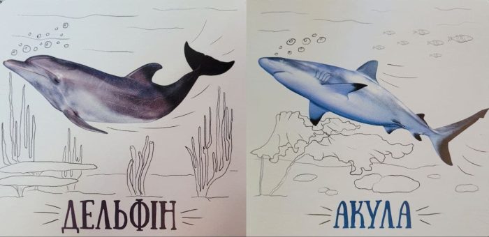 Хто живе у воді? Книжечки для найменших - Зображення 2