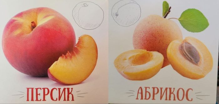 Фрукти та ягоди. Книжечки для найменших - Зображення 2