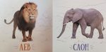 Дикі тварини. Книжечки для найменших - Зображення 2