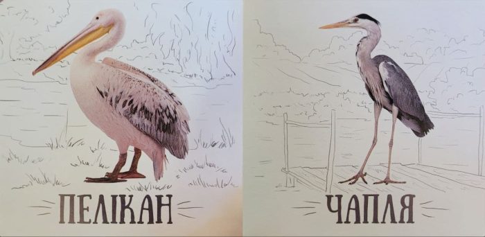 Хто в небі літа? Книжечки для найменших - Зображення 2
