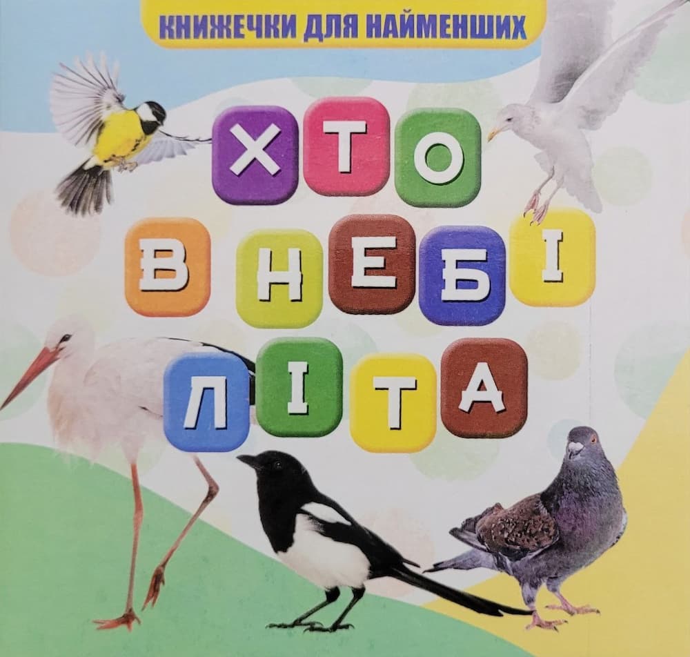 photo_2024-04-29_16-34-37 Хто в небі літа? Книжечки для найменших - Зображення 1