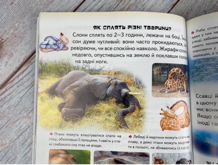 Дитяча енциклопедія. Запитайкам - Зображення 3