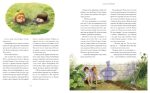 Тореадори з Васюківки. Велике ілюстроване видання. Книга перша - Зображення 2