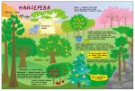 Таємне життя рослин - Зображення 3