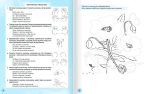 Спритні рученята. Підготовка руки дитини до письма - Зображення 2