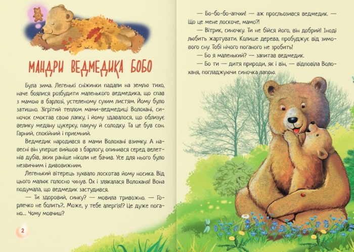 Чарівна пір’їнка : казки - Зображення 3