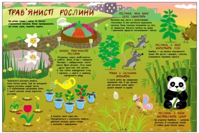 Таємне життя рослин - Зображення 5