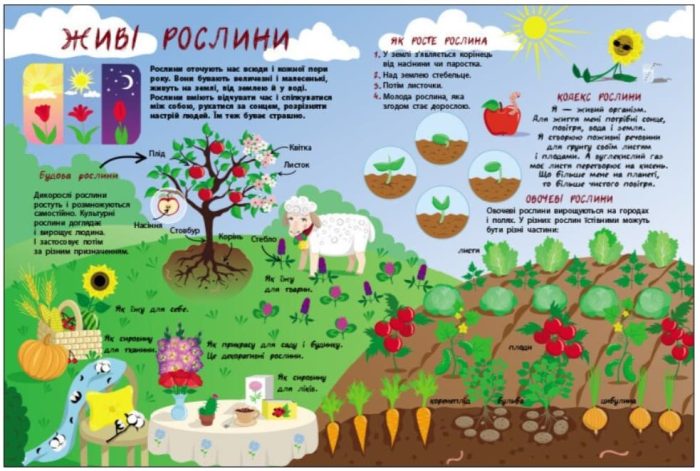 Таємне життя рослин - Зображення 2