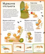 Світ мурах - Зображення 5