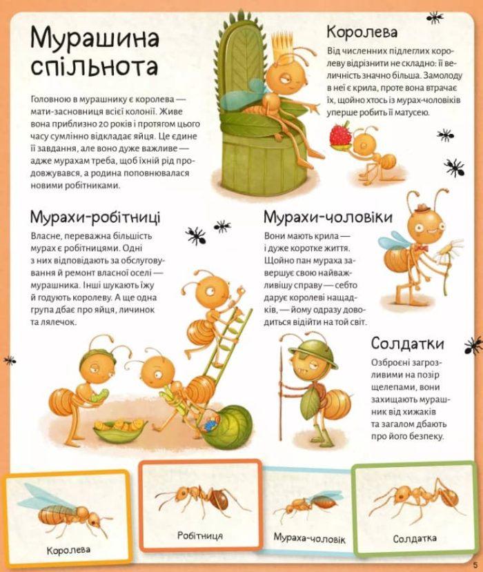 Світ мурах - Зображення 5