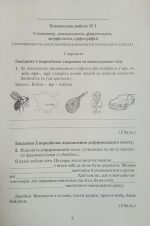 Українська мова. Зошит для контрольних робіт. 7 клас | О.Авраменко - Зображення 2