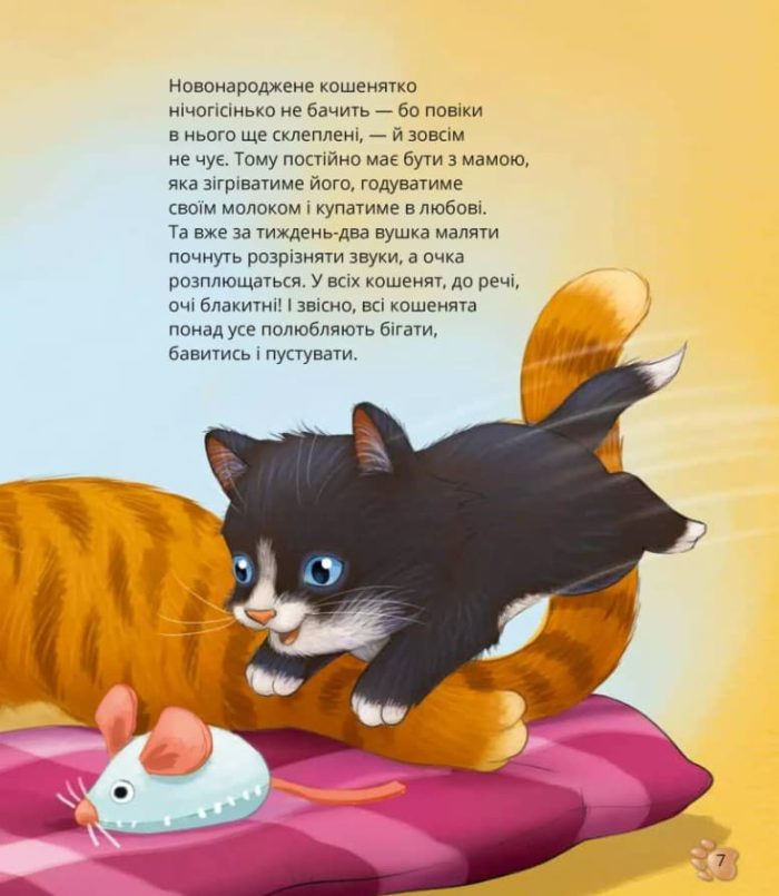 Наймиліші малюки тварин | Алехандро Альґарра - Зображення 6