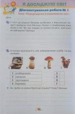 Усі діагностувальні роботи 4 клас. Мова, Читання, Математика, ЯДС (за програмою Шияна Р.Б.) | Галина Кіндрат - Зображення 6