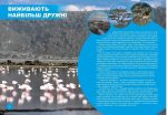 Хто з ким дружить, або дивовижі симбіозу | Клімов Василь - Зображення 3