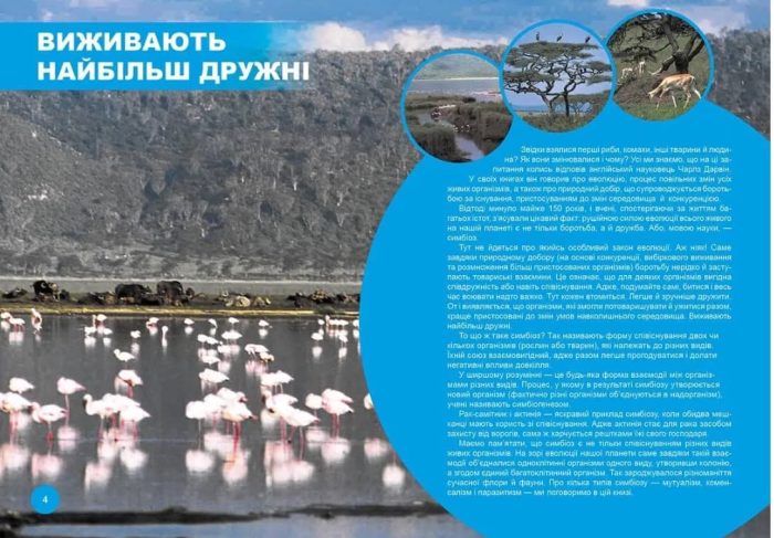 Хто з ким дружить, або дивовижі симбіозу | Клімов Василь - Зображення 3