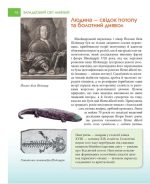 Загадковий світ АМФІБІЙ. Енциклопедія для допитливих - Зображення 3