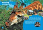 Хто з ким дружить, або дивовижі симбіозу | Клімов Василь - Зображення 5
