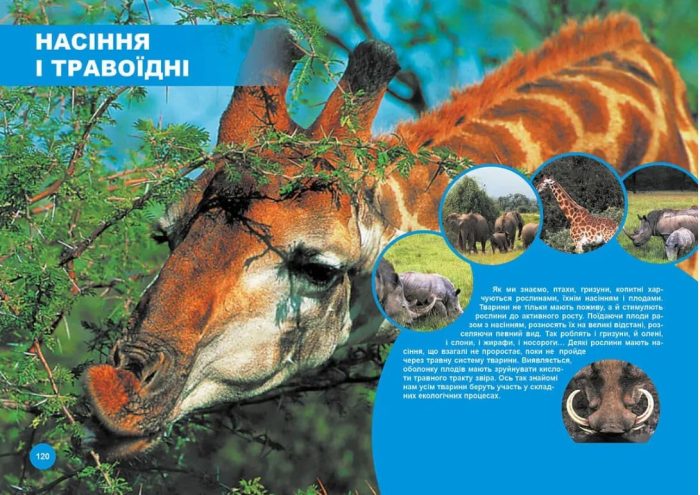 Хто з ким дружить, або дивовижі симбіозу | Клімов Василь - Зображення 5