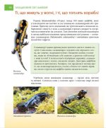 Загадковий світ АМФІБІЙ. Енциклопедія для допитливих - Зображення 4