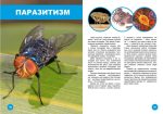 Хто з ким дружить, або дивовижі симбіозу | Клімов Василь - Зображення 2