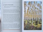 Кайдзен. Японський підхід до поступової зміни звичок | Сара Харві - Зображення 4