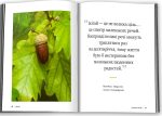 Ікіґай. Віднайдіть сенс свого життя | Барнс Джастін - Зображення 2