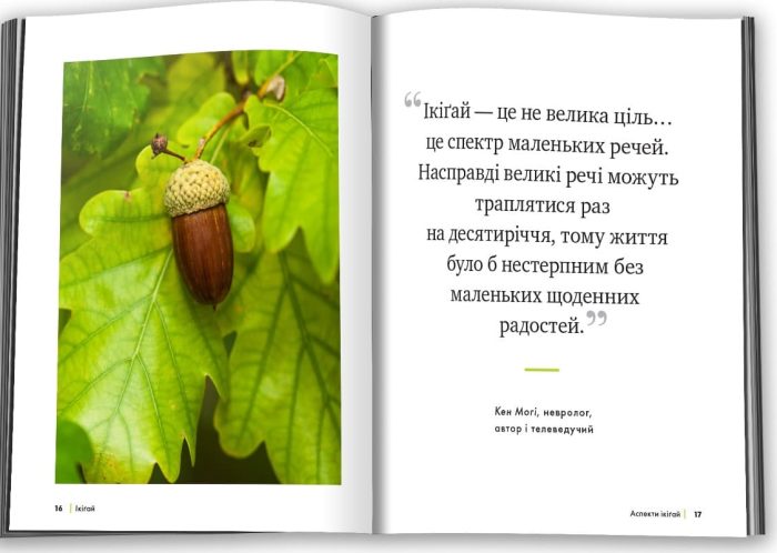 Ікіґай. Віднайдіть сенс свого життя | Барнс Джастін - Зображення 2
