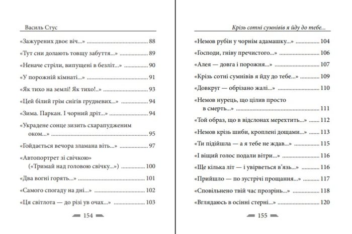 Крізь сотні сумнівів я йду до тебе... | Василь Стус - Зображення 4