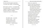 Крізь сотні сумнівів я йду до тебе... | Василь Стус - Зображення 7