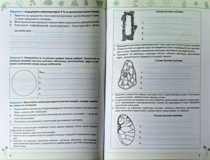 Біологія 7 клас НУШ. Зошит для лабораторних і практичних робіт (за чинними модельними програмами) | Ірина Сліпчук - Зображення 4