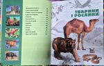 ЕНЦИКЛОПЕДІЯ необхідних знань школяра - Зображення 5