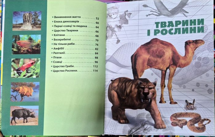 ЕНЦИКЛОПЕДІЯ необхідних знань школяра - Зображення 5