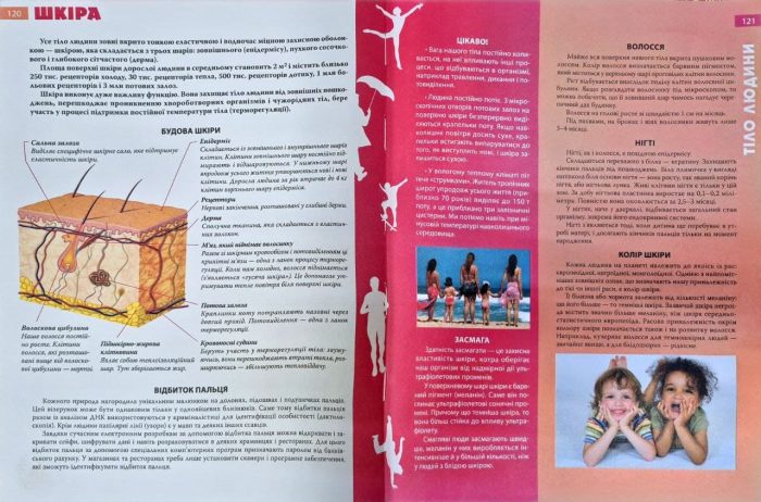 ЕНЦИКЛОПЕДІЯ необхідних знань школяра - Зображення 8