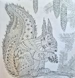 Animalia | Jessica Lawrens.Розмальовка антистрес - Зображення 2