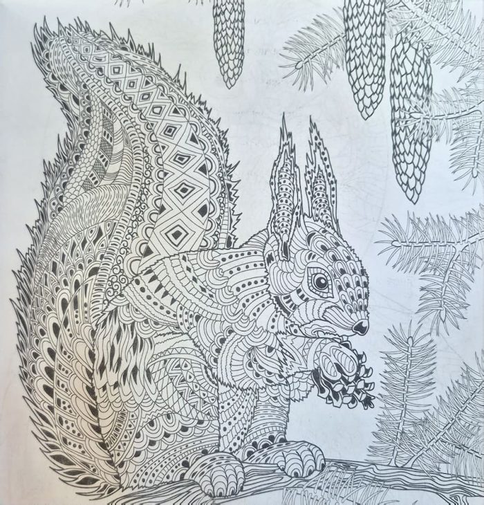 Animalia | Jessica Lawrens.Розмальовка антистрес - Зображення 2