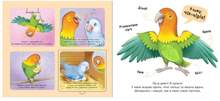 Мої улюбленці. Познайомся і погладь | Потаніна І.С. - Зображення 4